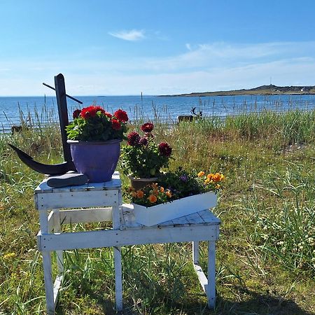 Feriehus Ved Barentshavet - Holiday Home By The Barents Sea Ytre Kiberg Экстерьер фото