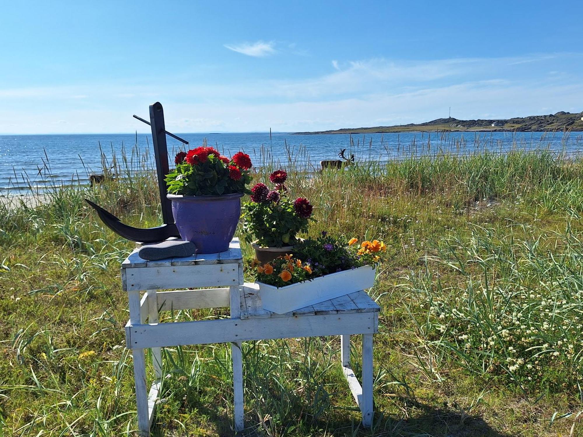 Feriehus Ved Barentshavet - Holiday Home By The Barents Sea Ytre Kiberg Экстерьер фото